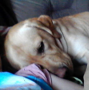 Meet your Posher, Jayla